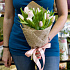Букет тюльпанов Нежнорозовые тюльпаны - Фото 1