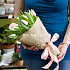 Букет тюльпанов Нежнорозовые тюльпаны - Фото 2