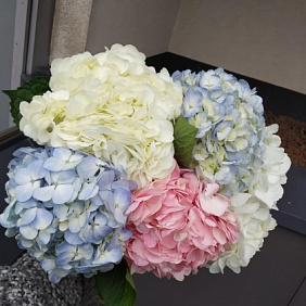 Букет из гортензии №178
