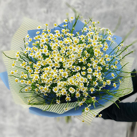 Летний букет ромашек в голубой упаковке №160 - Фото 2