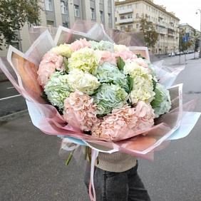 Микс гортензий, 25 штук в дизайнерской упаковке