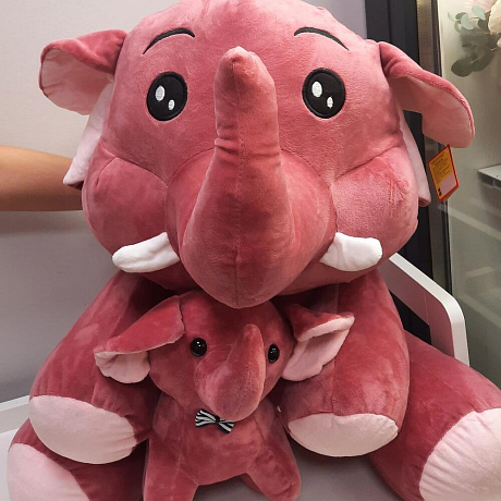 Букет цветов Розовый слон - Фото 6