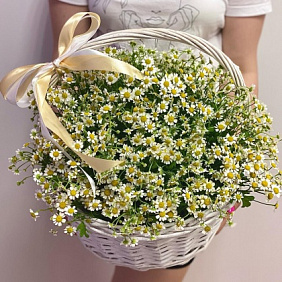 Корзина с ромашками XL