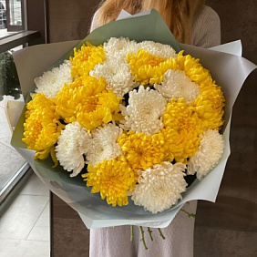 Крымская Хризантема 21 шт