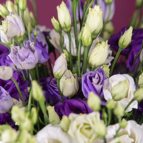 Букет из 19 белых и фиолетовых эустом - Фото 3