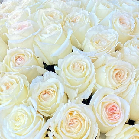 Букет из 51 Белых роз №160 - Фото 6