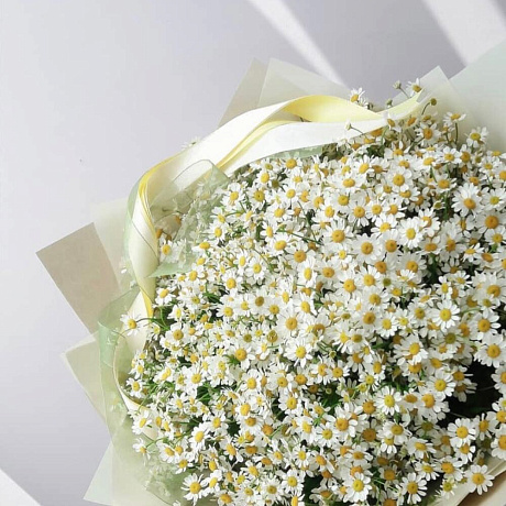 Букет цветов Ромашка wow - Фото 2