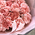 Гвоздики розовые №2 - Фото 2