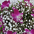 Букет цветов Тайтай - Фото 4