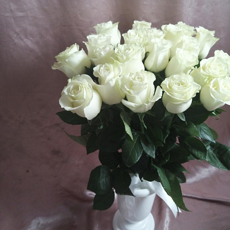 Букет из 21 белой эквадорской розы - Фото 4