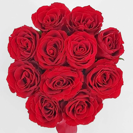 11 красных роз в шляпной коробке - Фото 3