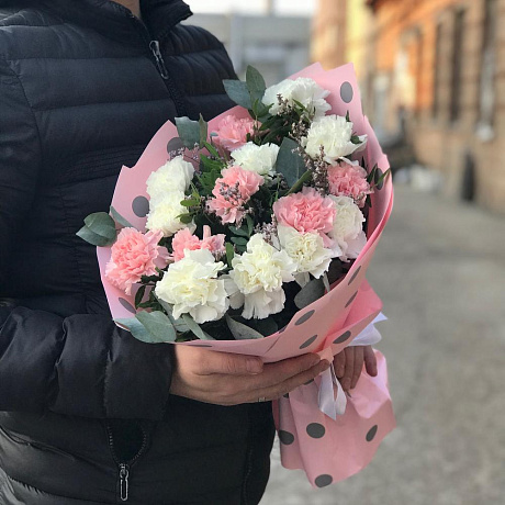 Нежный диантус - Фото 3