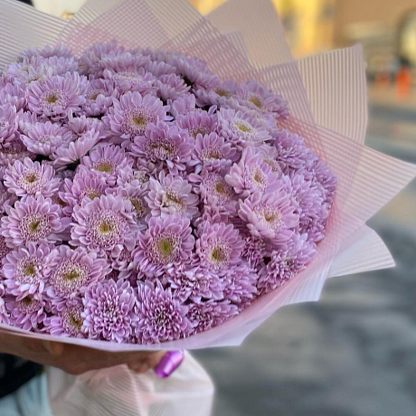 Букет из 35 кустовых хризантем - Фото 4