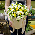 Букет из фрезий Freesia - Фото 2