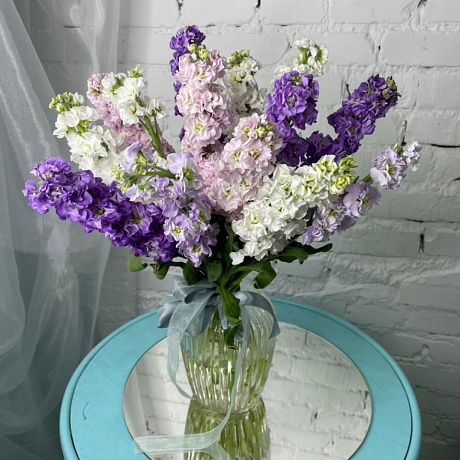 15 маттиол - Фото 5