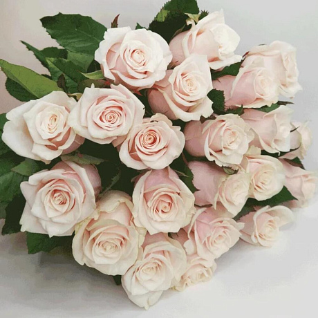 Букет роз красотка - Фото 4