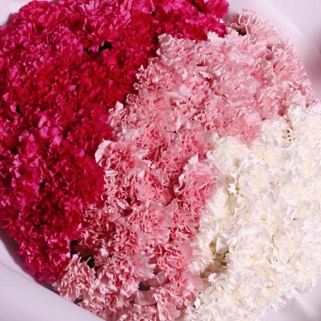 Букет из 101 гвоздики - Фото 3