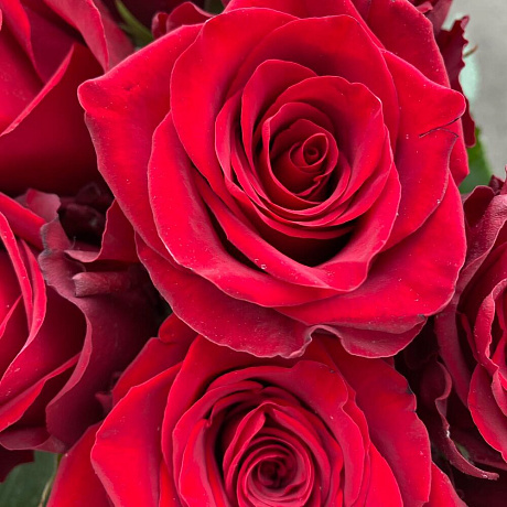 Букет цветов Эмблема любви №160 - Фото 6