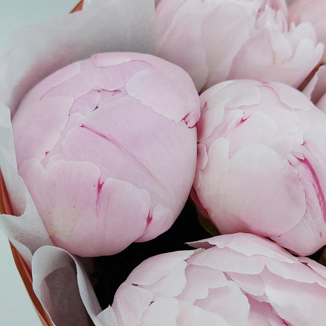 11 розовых пионов с оформлением - Фото 4