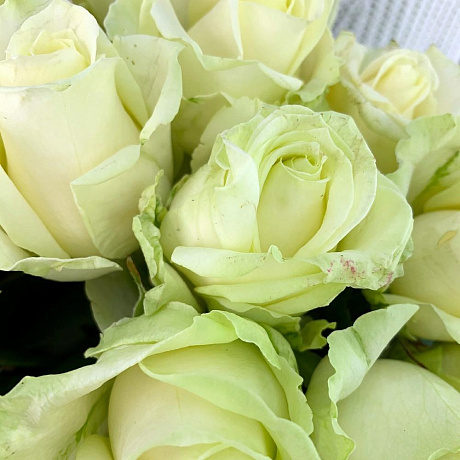 Букет Белые розы - Фото 6