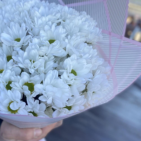 Букет из кустовая хризантема - Фото 4