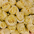 21 белая Роза премиум (ваза в подарок. См.условия акции в описании) - Фото 3