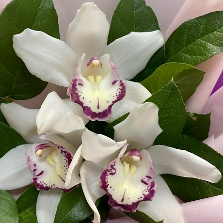 Букет-комплимент из белых орхидей - Фото 3