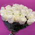 29 эквадорских белых роз  - Фото 1