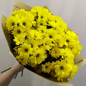 Букет цветов "Солнечный зайчик" №164