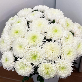 Букет "Зефир" №185