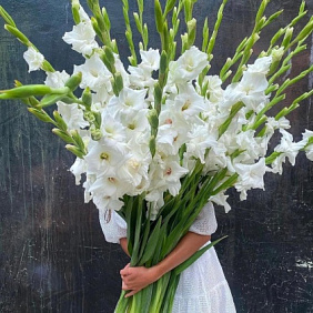 Букет цветов "Белое чудо"