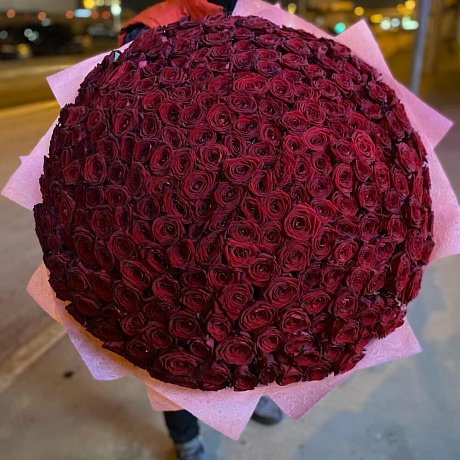 251 роза - Фото 2