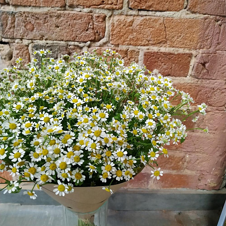 Букет из жизнерадостных ромашек - Фото 3