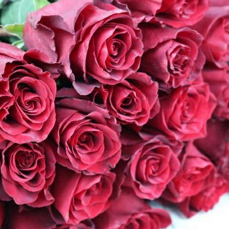 Букет из 25 эквадорских роз №172 - Фото 4