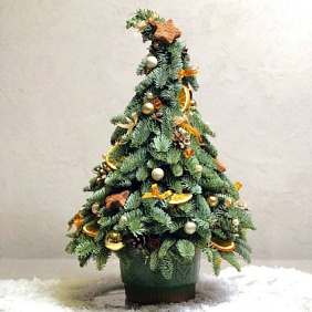 Елочка Витамин С