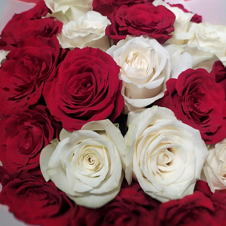 Букет 25 роз микс красная и белая роза - Фото 5