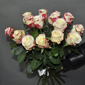Розы Sweetnes ( Свитнес) 60 см. 15 шт