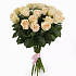 Букет из 19 кремовых роз Талея №161 - Фото 1