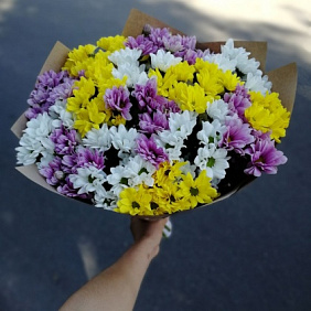 Букет из 15 веток кустовых хризантем в крафте