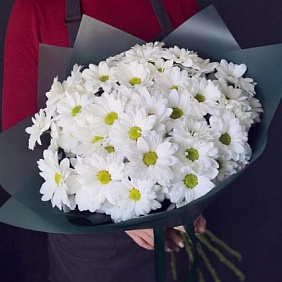 Букет хризантем Мэри