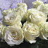 Букет 19 белых роз 60 см - Фото 5