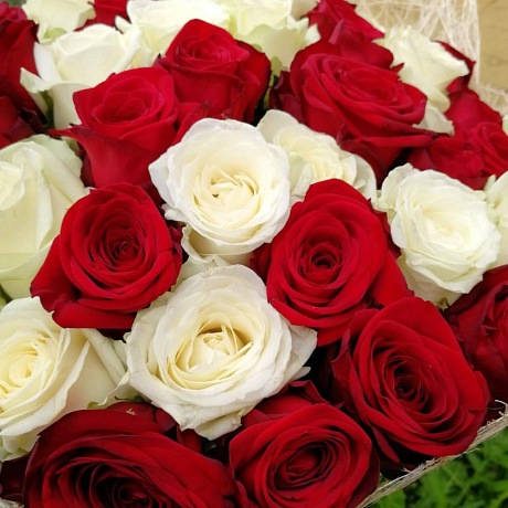 Микс из розы - Фото 6