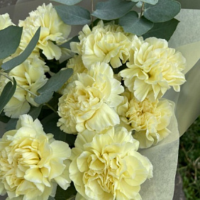 Букет «Лимонный пай»