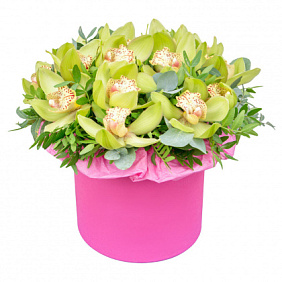 15 зеленых орхидей в средней шляпной коробке