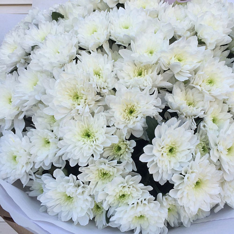 Букет Белая хризантема №165 - Фото 2