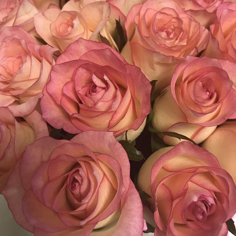 Коробка с розами «Джумилия» - Фото 4