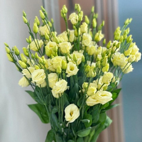 Эустома №170