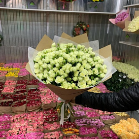 Кустовые розы №160