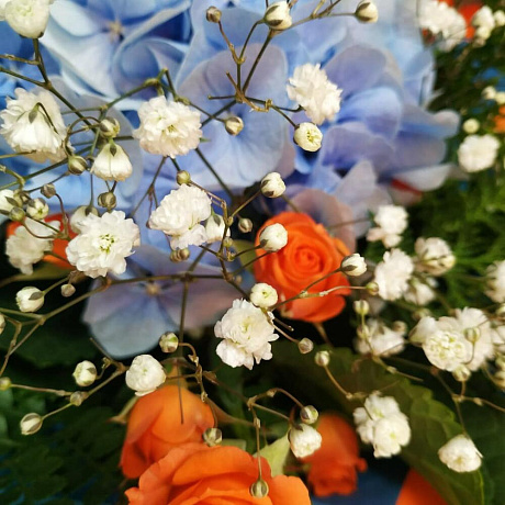 Букет Жар птица - Фото 4