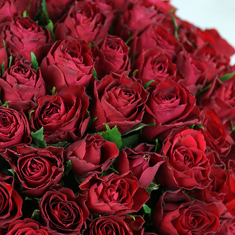 Букет из 101 красной розы 40см - Фото 2